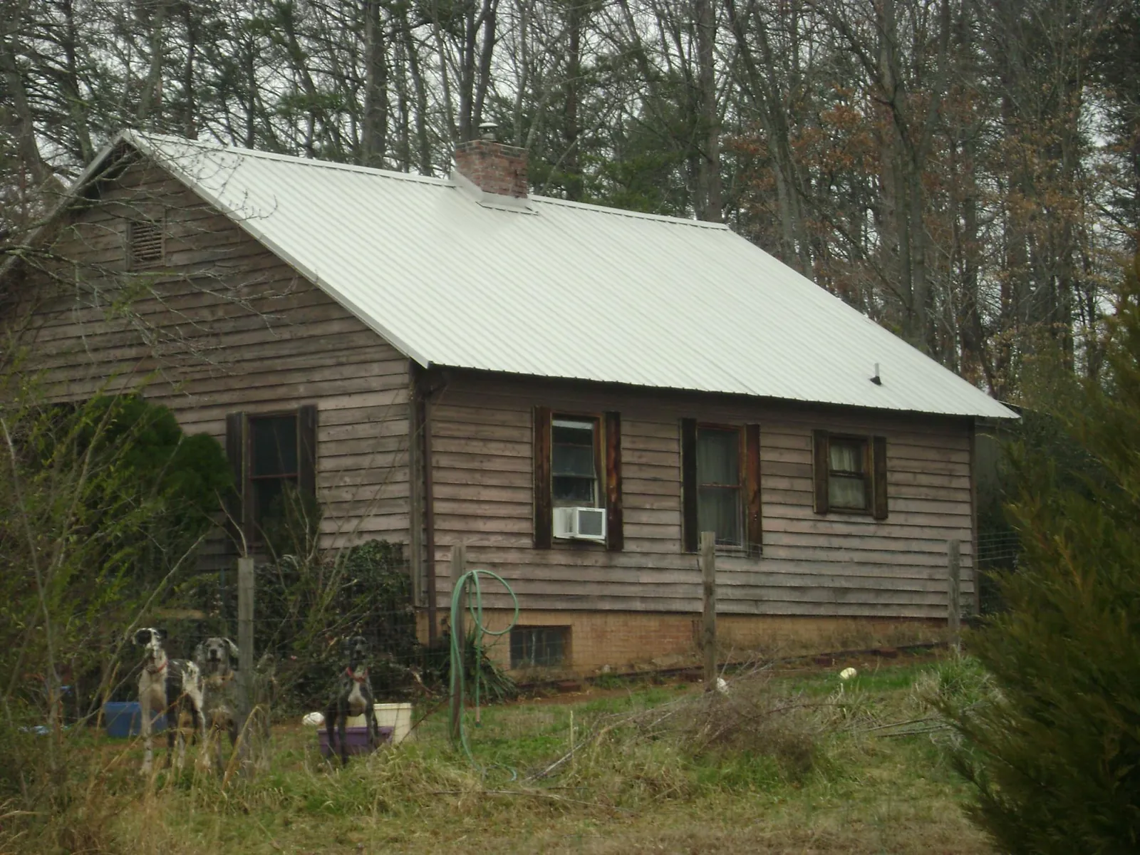 White metal roof on an old wood sided farmhouse, from a Asphalt Shingle Roof Repair job in Raymore